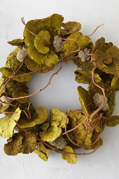 Herbstkranz basteln grün aus Pilze Moos dünne Zweige