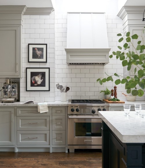 Weiße Küche Wandbilder Zimmerpflanze Raumdetails