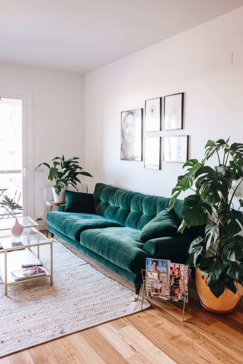 einrichtungsideen für tolles grünes sofa