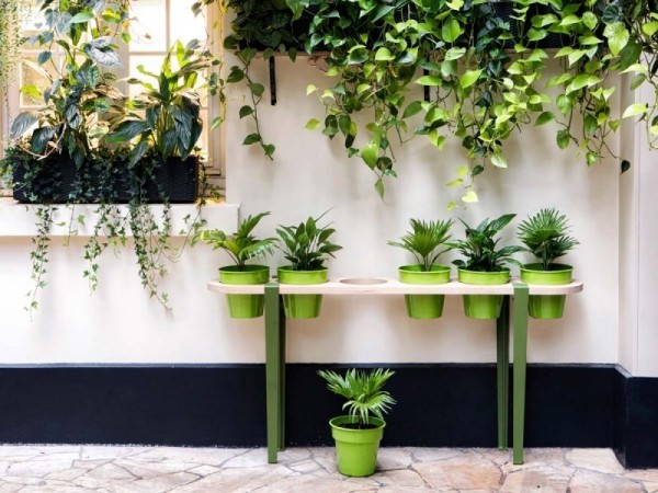 Ideen für Zimmerpflanzen-Deko Hängepflanzen plus andere grüne Wand grüne Ecke draußen