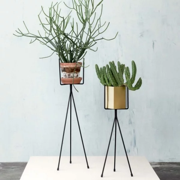 Ideen für Zimmerpflanzen-Deko Trend minimalistisch gestaltete Blumenständer