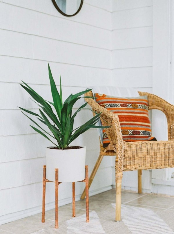 Ideen für Zimmerpflanzen-Deko Yucca im weißen runden Topf neben Sessel
