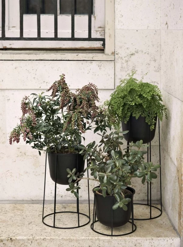Ideen für Zimmerpflanzen-Deko drei Töpfe mit grünen Pflanzen tolles Arrangement draußen