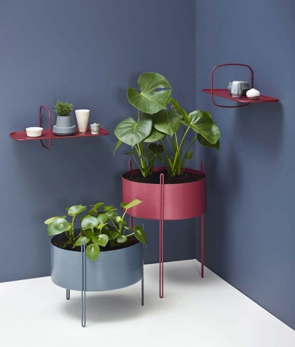 Ideen für Zimmerpflanzen-Deko dunkelblauer Hintergrund Topfpflanzen kommen gut zum Vorschein