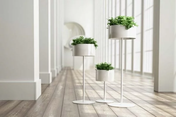 Ideen für Zimmerpflanzen-Deko elegantes Arrangement drei  weiße Töpfe mit Zimmerpflanzen