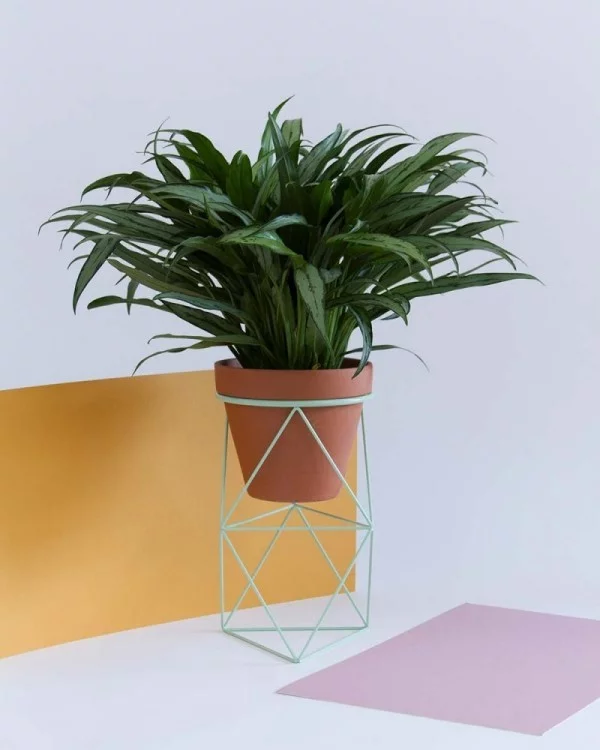 Ideen für Zimmerpflanzen-Deko geometrische Formen sind im Trend