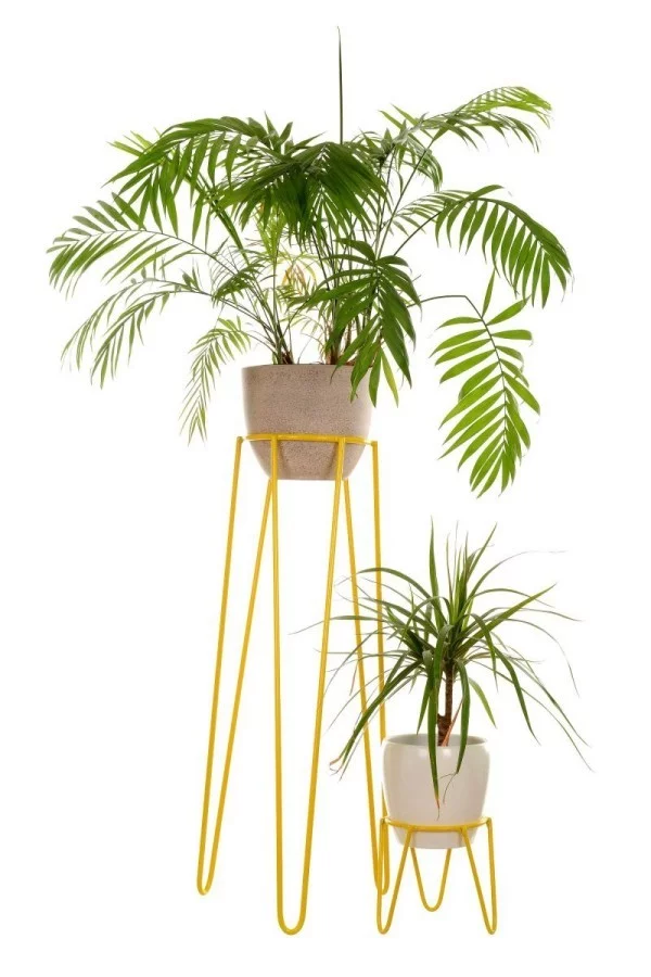 Ideen für Zimmerpflanzen-Deko schöne Töpfe elegante Blumenständer Drachenbaum