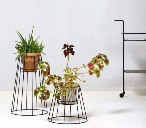 Ideen für Zimmerpflanzen-Deko schönes Arrangement