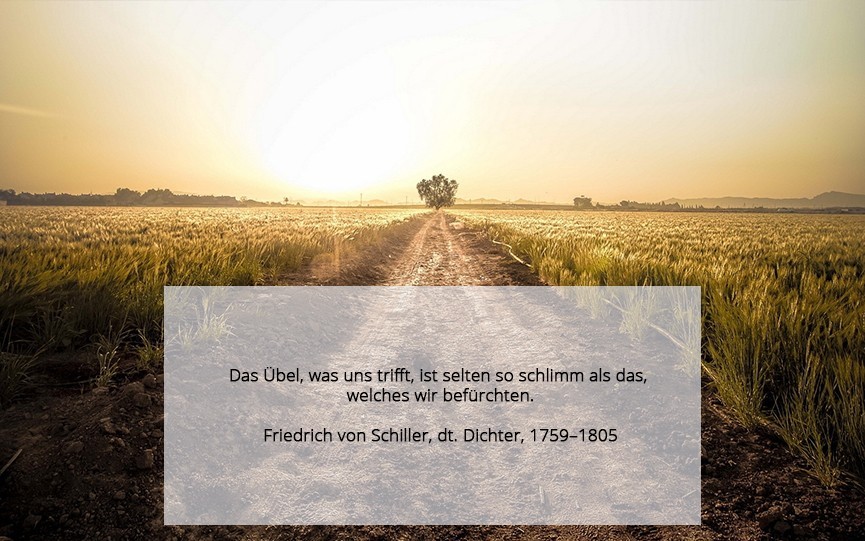 Sprüche, die Mut machen Friedrich Schiller deutscher Dichter