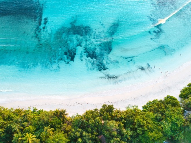 Reiseziele 2019 Seychellen wunderschöner Strand Unterwassersport treiben fotografieren