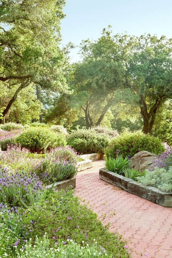 Gartengestaltung Ideen Lavendel Rosmarin Iris
