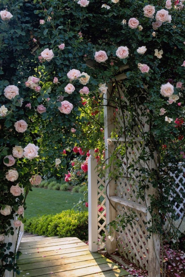 Gartengestaltung Ideen schöne Rosen verschiedene Farben andere Blumen viel Grün