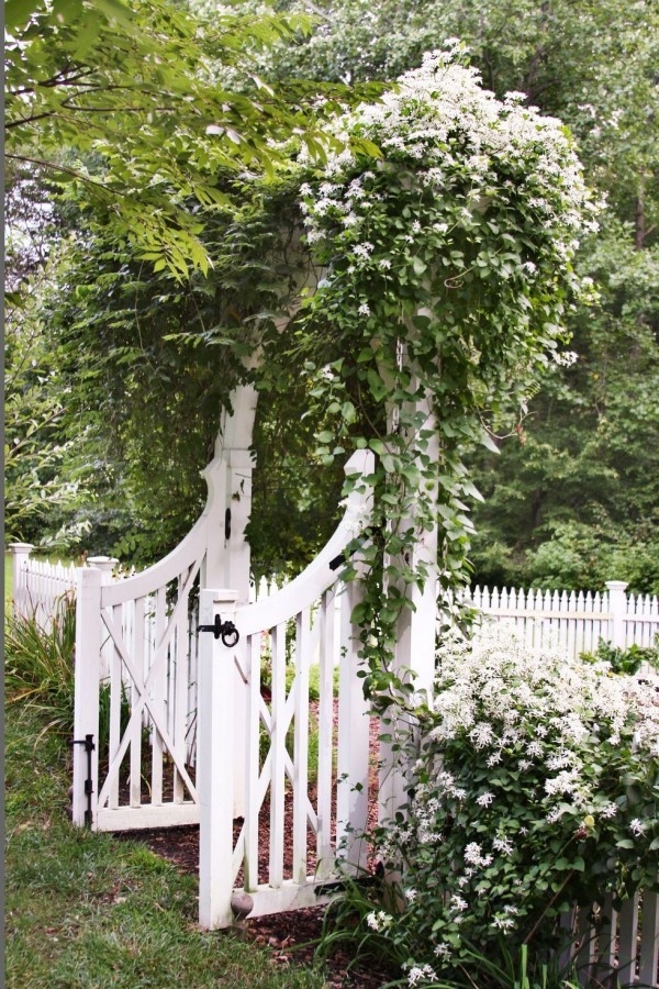 Gartengestaltung Ideen weiße Clematis weißes Gartentor Zaun aus Holz