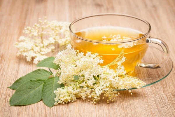 Kräuter gegen Husten weiße Holunderblüten heilenden aromatischen Tee zubereiten