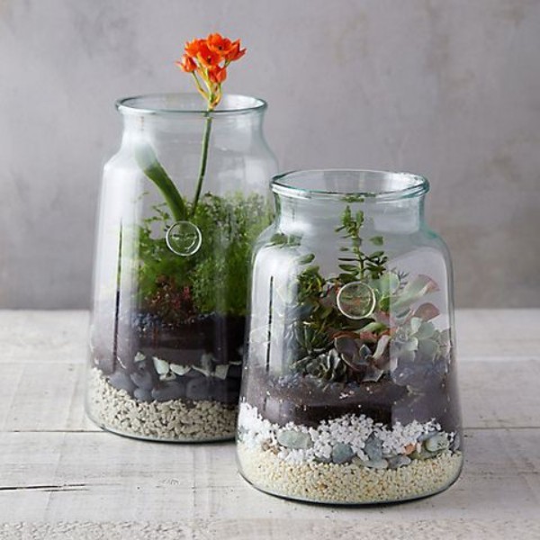 Terrarium zu Hause Gläser mit verschiedene Pflanzen in Szene setzen