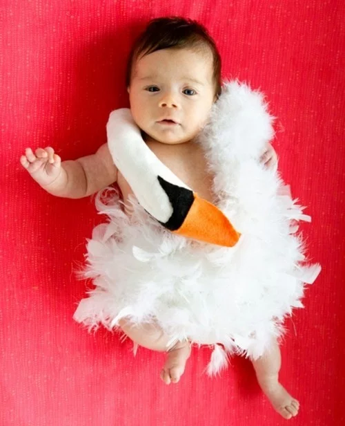 baby karneval kostüm schwan
