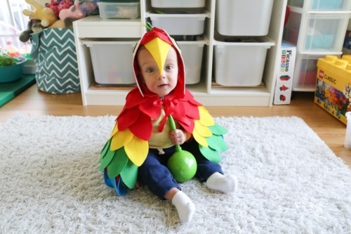papagei baby karneval kostüm idee