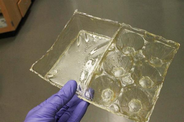 3D-gedrucktes Gummi, das sich selbst repariert eierkarton aus chitosan