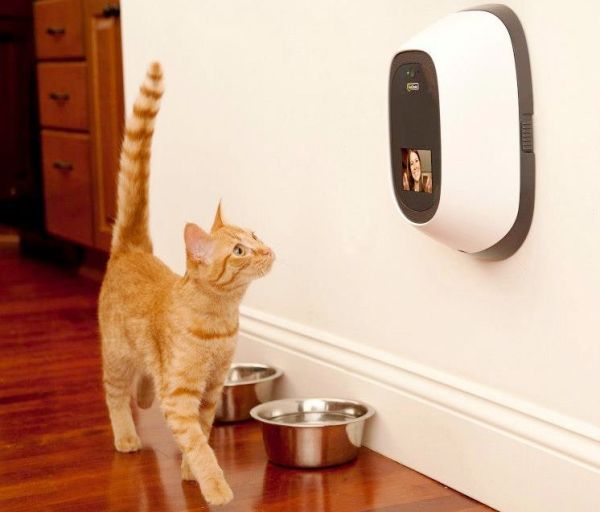 die besten smart home gadgets fur haustiere fresh ideen fur das interieur dekoration und landschaft