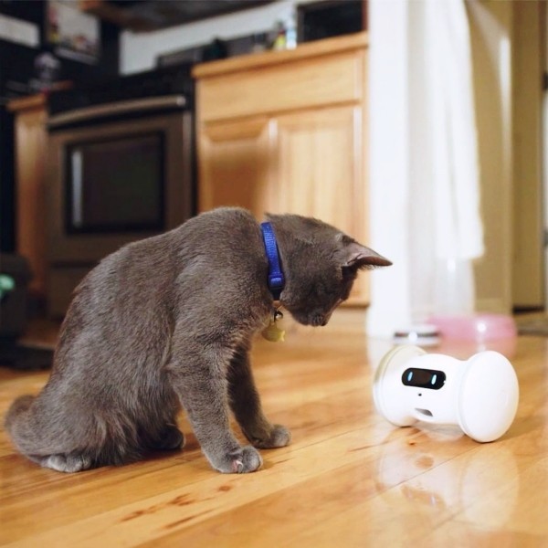 die besten smart home gadgets fur haustiere fresh ideen fur das interieur dekoration und landschaft