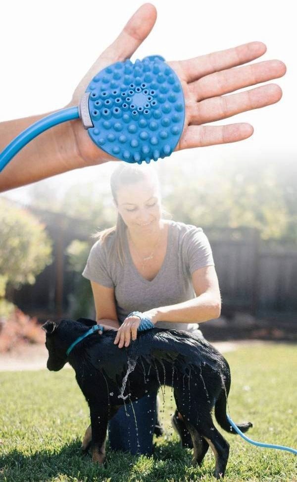 Die besten Smart Home Gadgets für Haustiere aquapaw hunde leicht waschen