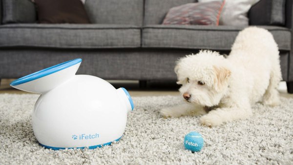 Die besten Smart Home Gadgets für Haustiere ifetch wirft bälle für ihren hund