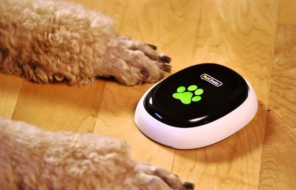 Die besten Smart Home Gadgets für Haustiere petchatz petcall gerät für smarte hunde
