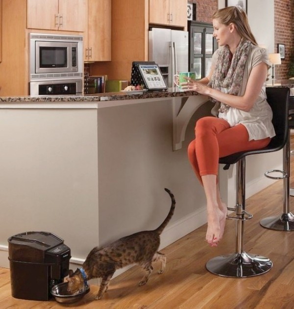 Die besten Smart Home Gadgets für Haustiere petsafe automatischer futternapf