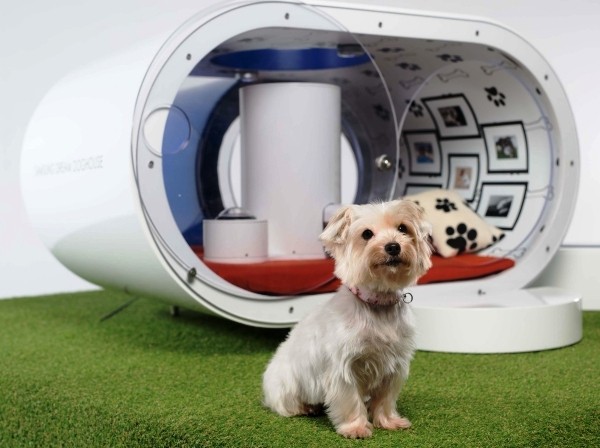 Die besten Smart Home Gadgets für Haustiere samsung smart hundehaus