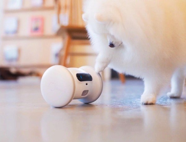 Die besten Smart Home Gadgets für Haustiere varram roboter zum spielen und beschäftigen