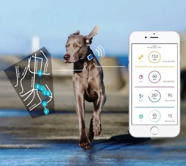 Die besten Smart Home Gadgets für Haustiere whistle 3 gps für hunde und katzen