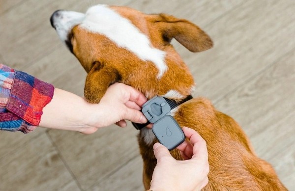 Die besten Smart Home Gadgets für Haustiere whistle 3 gps für hunde