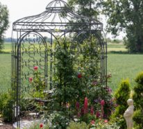 Anmutiger Blumentraum für Ihren Garten
