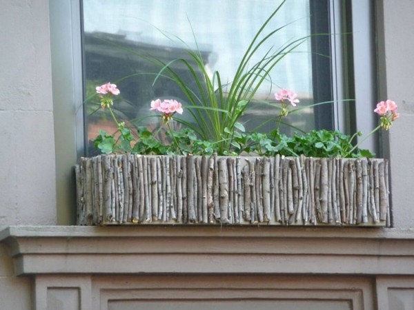Blumenkasten an der Fensterbank aus Holz rosa Geranien viel Grün