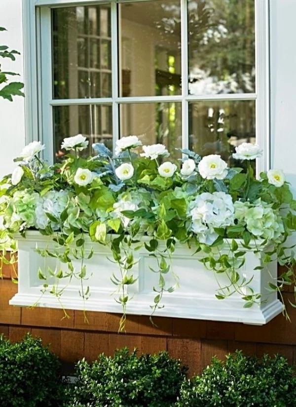Blumenkasten an der Fensterbank die Pflanzen richtig anordnen weiß grün