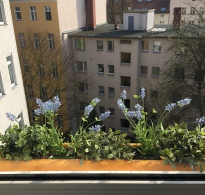 Blumenkasten An Der Fensterbank Schmückt Die Hausfassade