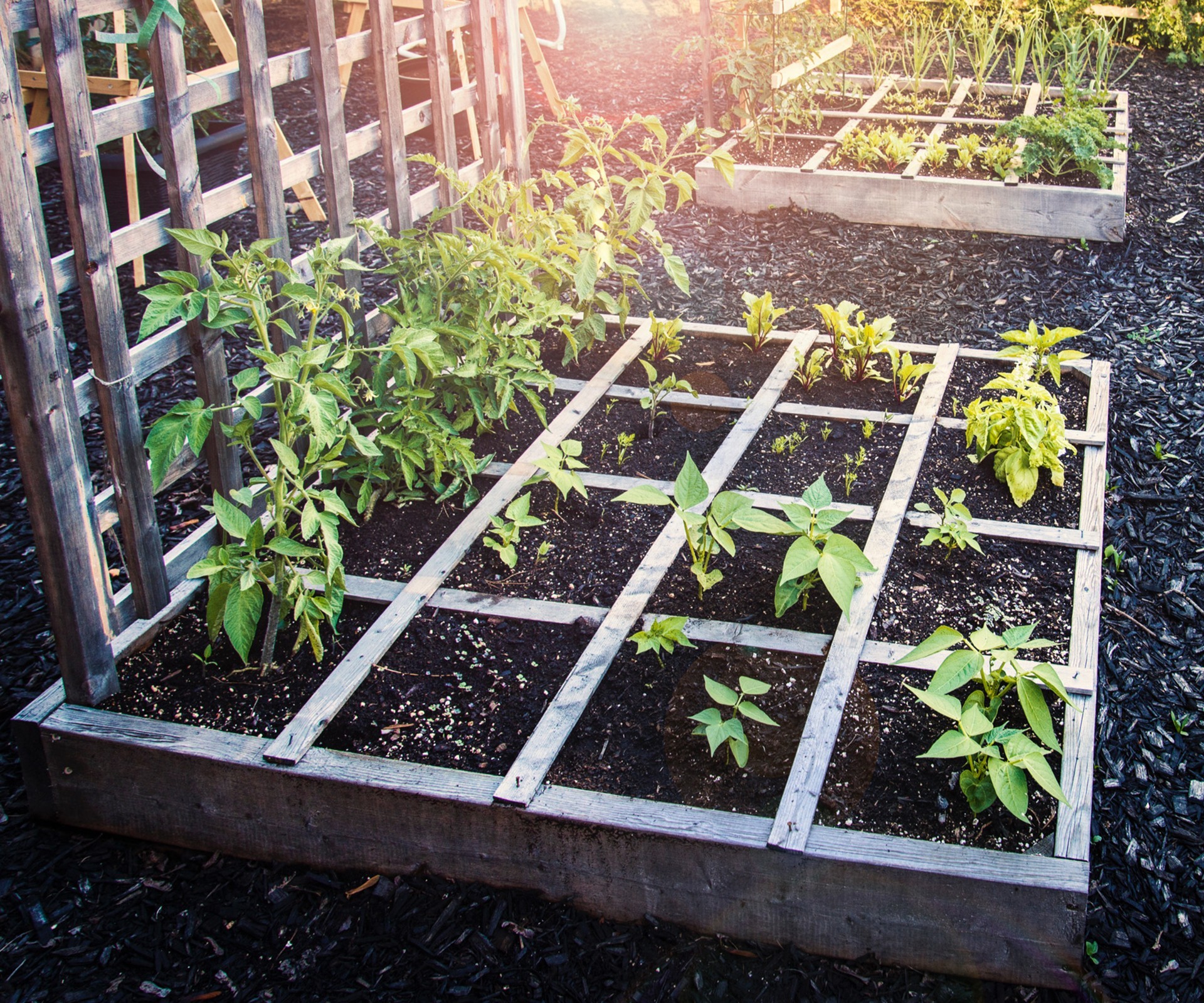 Die 7 Wichtigsten Gartentipps Fur Marz Fur Pracht Und Schonheit