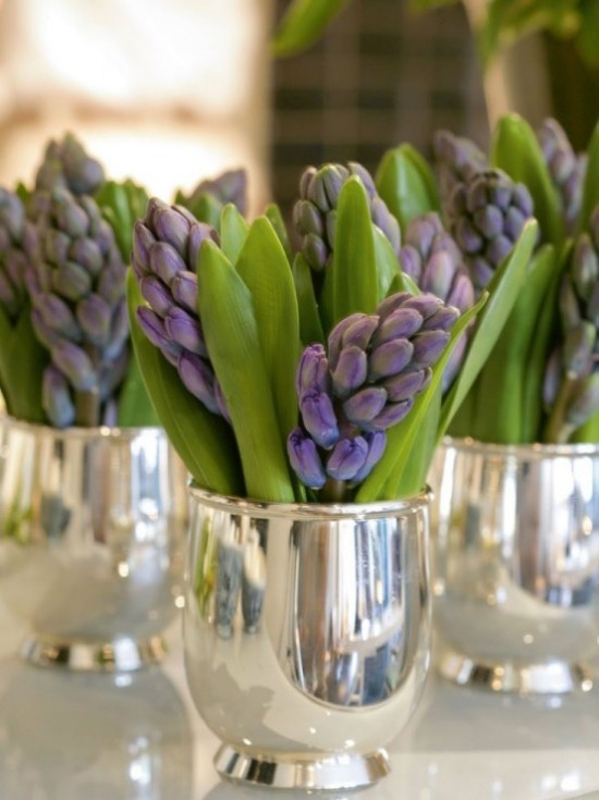 Hyazinthen in Vasen oder Bechern schöne Farben herrlicher Duft