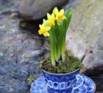 Deko Ideen mit Narzissen laden den Frühlings ins Haus ein