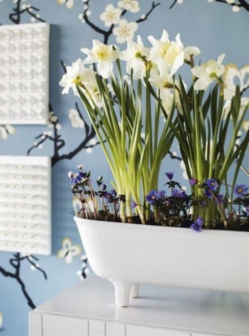 Narzissen in Weiß Deko Ideen mit anderen Frühlingsblumen im Haus