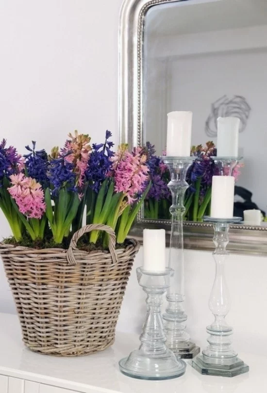Schöne Hyazinthen verschiedene Farben im Korb vor einem Spiegel weiße Kerzen daneben