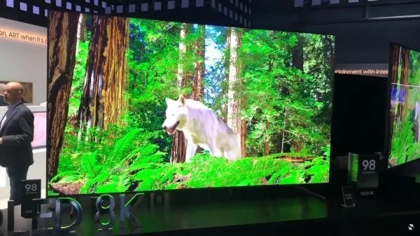 Tierwelt Darstellung 8K TV
