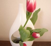 Tulpen läuten den Frühling ein – 50 Deko Ideen für drinnen