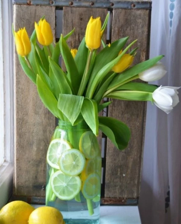 Tulpen im Interieur gelbe und weiße Blüten im Glas mit Zitronenscheiben