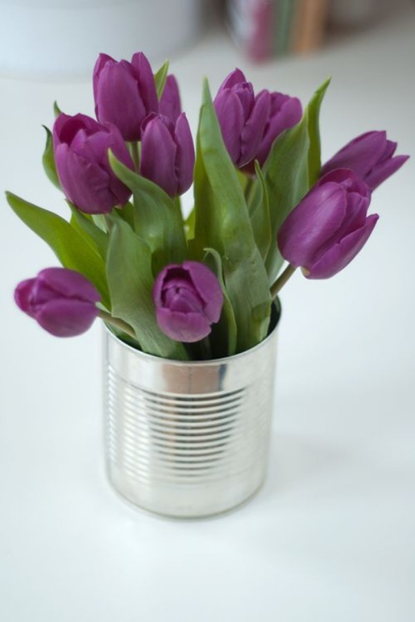Tulpen im Interieur lila Blüten im silbernen Behälter