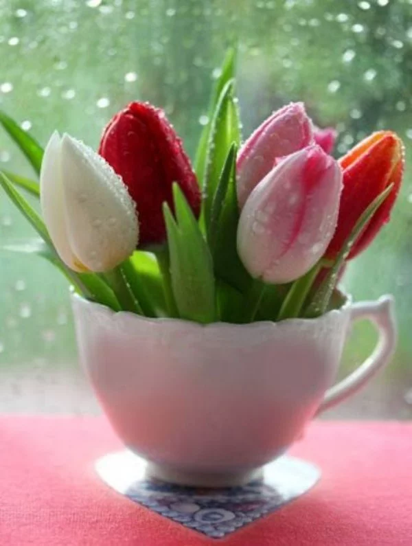 Tulpen im Interieur mehrfarbig in weißer Tasse
