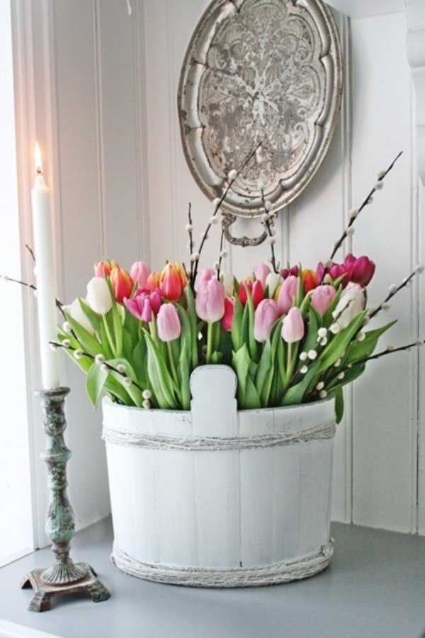 Tulpen im Interieur mehrfarbige Blüten im Kübel