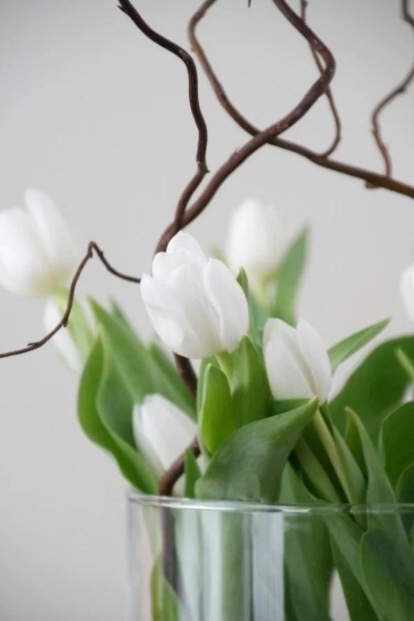 Tulpen im Interieur weiße Blüten in Vase aus Glas