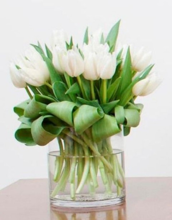 Tulpen im Interieur weiße Blüten symbolisieren die Unschuld