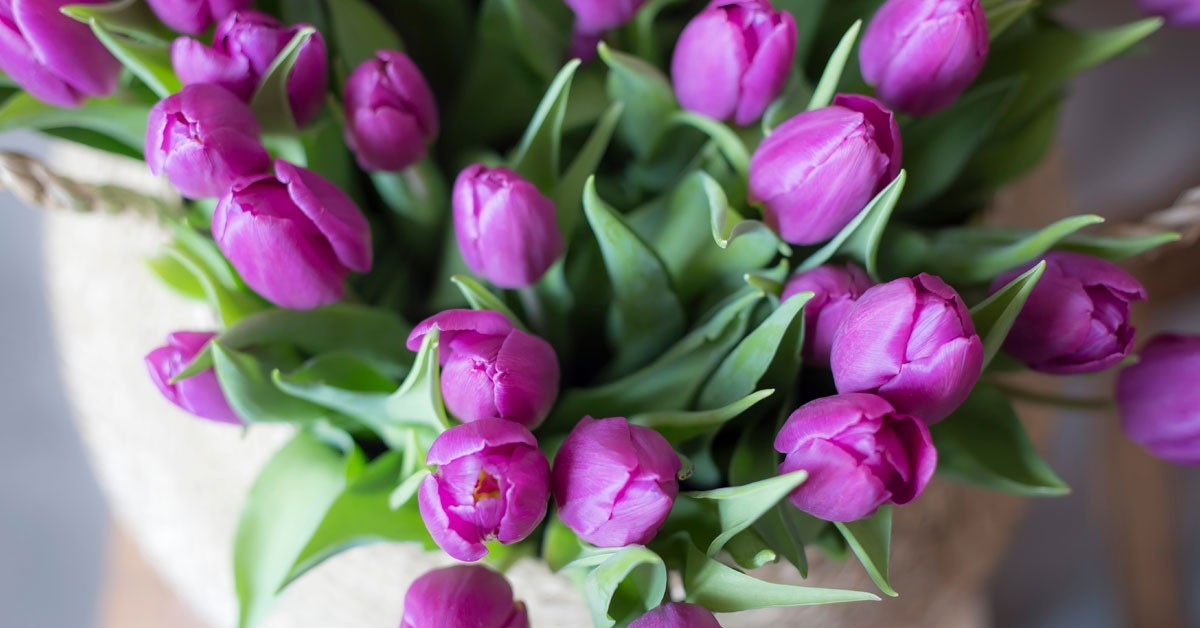 Tulpen Lauten Den Fruhling Ein 50 Deko Ideen Fur Drinnen Fresh Ideen Fur Das Interieur Dekoration Und Landschaft